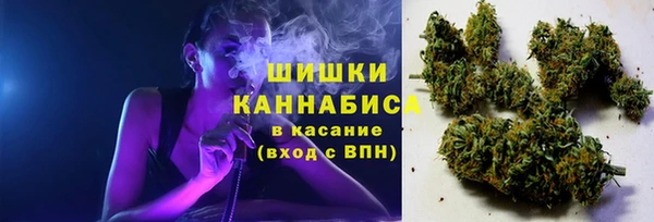 твердый Алзамай