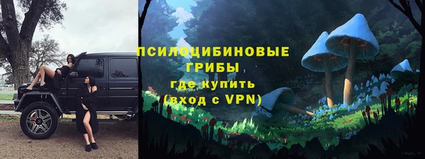 прущие грибы Покачи