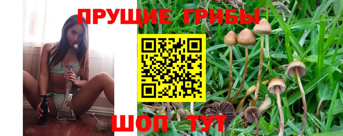 Псилоцибиновые грибы MAGIC MUSHROOMS  Вход с VPN  Березники 