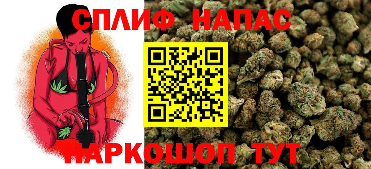 Бошки марихуана планчик Березники